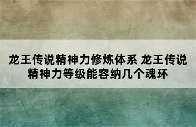 龙王传说精神力修炼体系 龙王传说精神力等级能容纳几个魂环